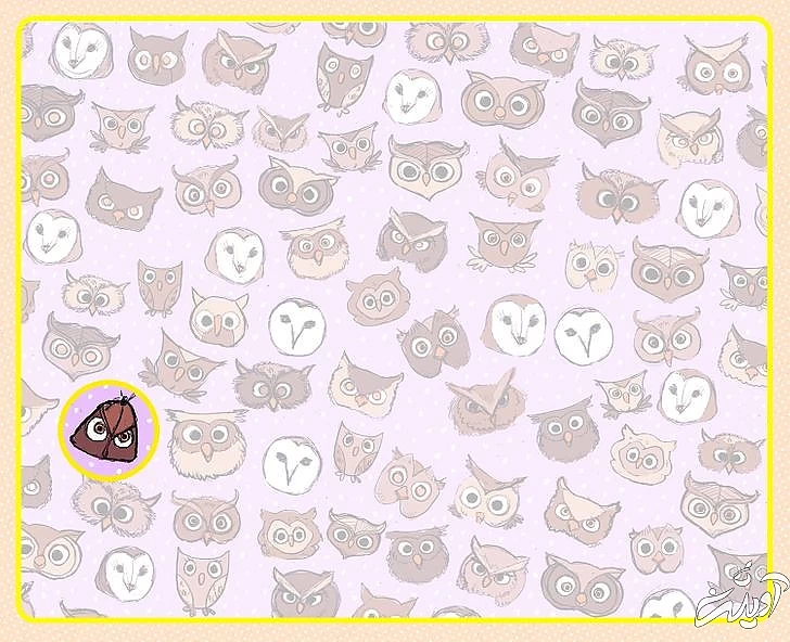 چند معمای تصویری برای آنهایی که توجه و دقت زیادی دارند